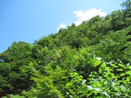 IMG_7012.jpg
