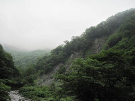 IMG_7284.jpg