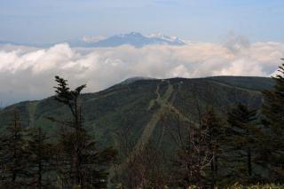 岩菅山山頂から