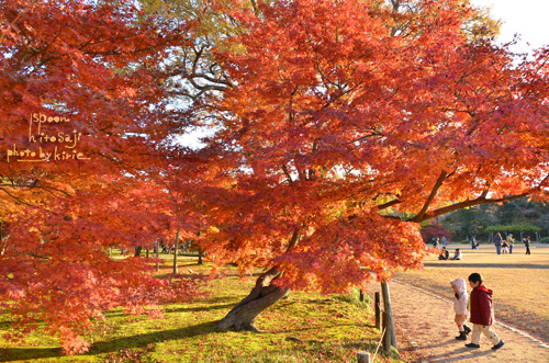 20121226-2.jpg