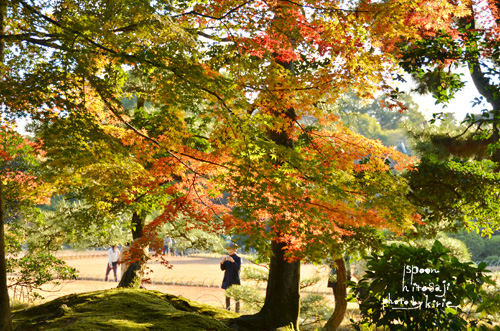 20121226-4.jpg