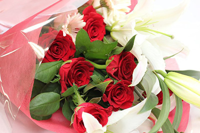 y14111701.jpg