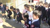 年中応援