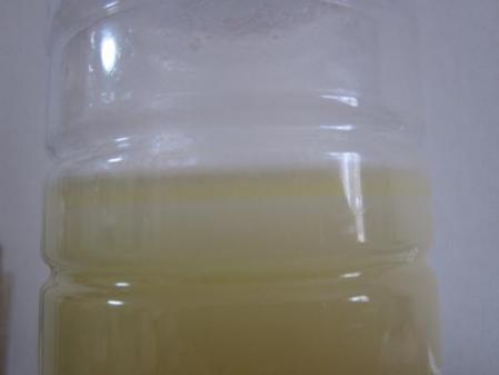 IMG_1430_convert_20120603161002.jpg