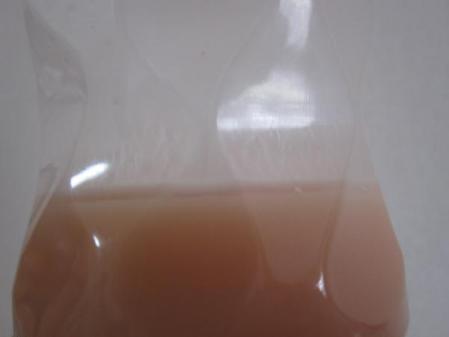 IMG_1431_convert_20120603161048.jpg