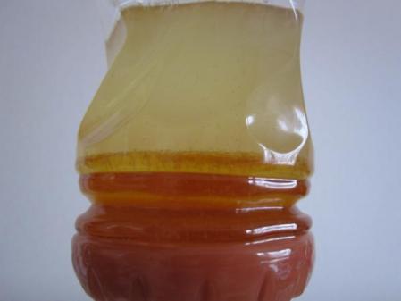 IMG_1433_convert_20120603173605.jpg