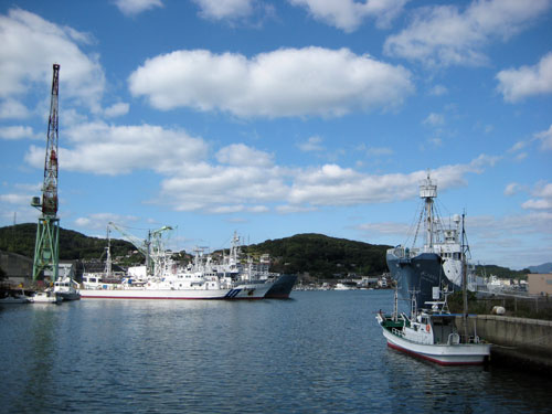 f257.jpg