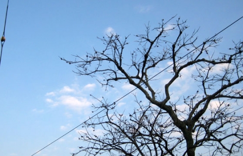 iu02.jpg
