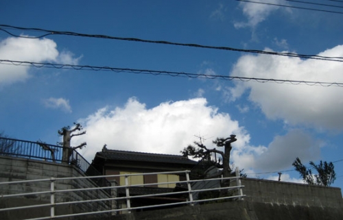 rr02.jpg
