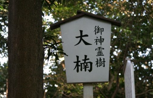 sb39.jpg