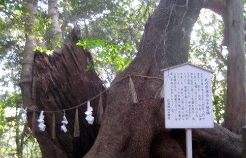 sb73.jpg
