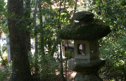 sb78.jpg