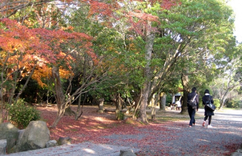 sc02.jpg