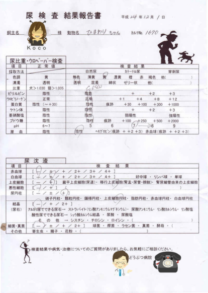 2012年12月1日 尿検査結果