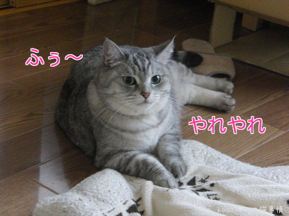 ふぅ~やれやれ