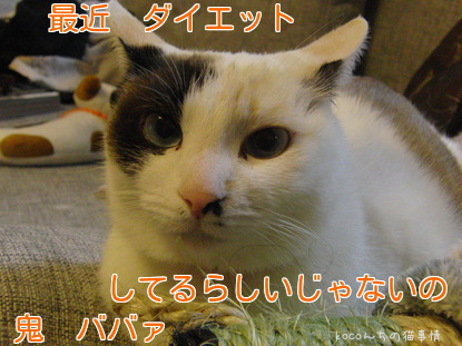 だいえっとしてるらしいおにばば