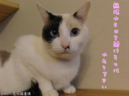 無理やり開けないでください