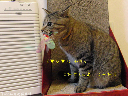 いひひひひひ