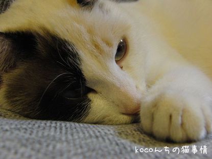 z6Q5NUu8hvM9wK8_1351598992_mj.jpg