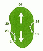 04green.gif