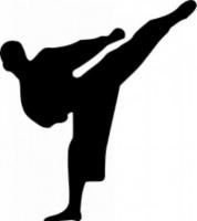 karate-silhouette_17-802060838.jpg