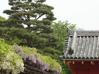 1_20120429195801.jpg