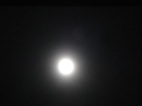 70_20121129195845.jpg