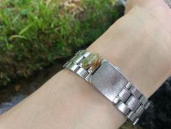 20120717_145341.jpg