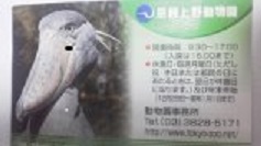 上野動物園パスポート