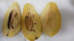 花梨断面