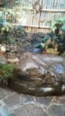 神田天野屋 2