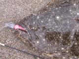 20120727_10.jpg