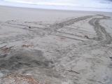 20120727_3.jpg