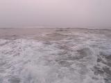 20120727_4.jpg