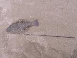 20120727_9.jpg