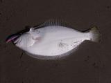 20120830_11.jpg