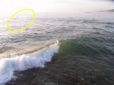 20120830_3.jpg