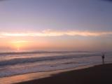 20120909_1.jpg