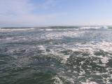 20120909_3.jpg
