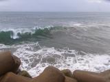 20120916_2.jpg