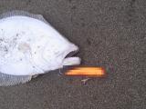 20121122_11.jpg