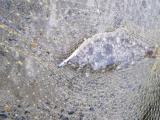 20121122_2.jpg