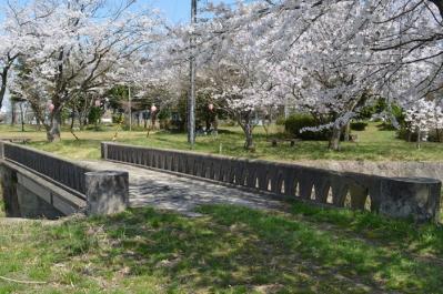 桜 峯山海軍航空基地 (2)
