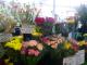 009_20120825100056.jpg