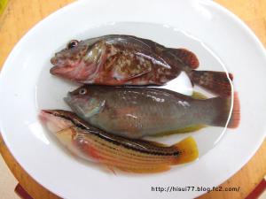 DSCF1252.jpg