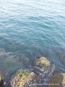 DSCF1412.jpg