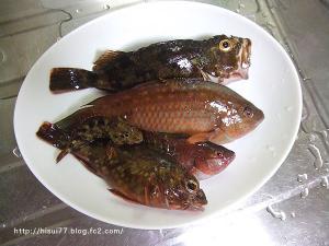 DSCF1416.jpg