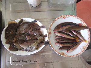 DSCF2057.jpg