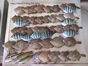 DSCF2084.jpg