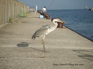 DSCF2106.jpg